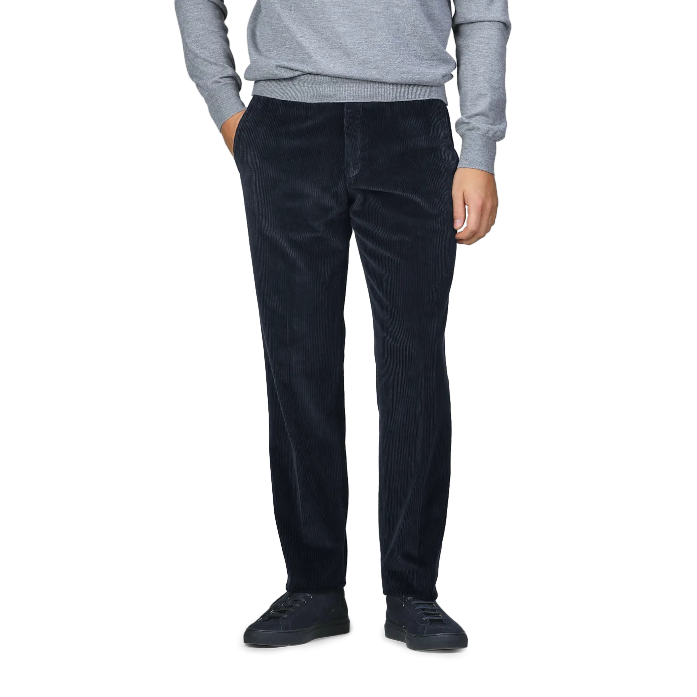 Navy Blue Cotton Corduroy Regular Fit Chinos